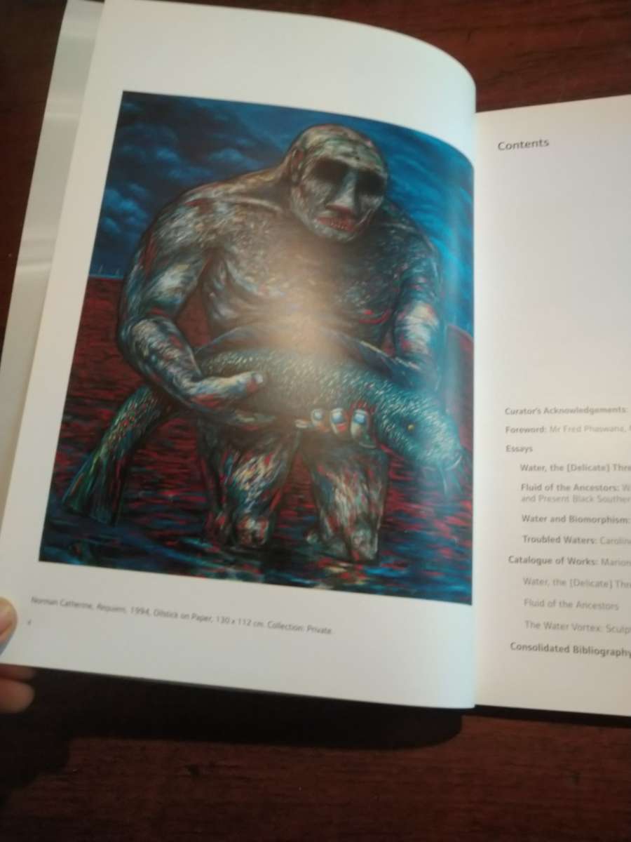 WATER, THE [DELICATE] THREAD OF LIFE -  Standard Bank Gallery Exhibition Catalogue