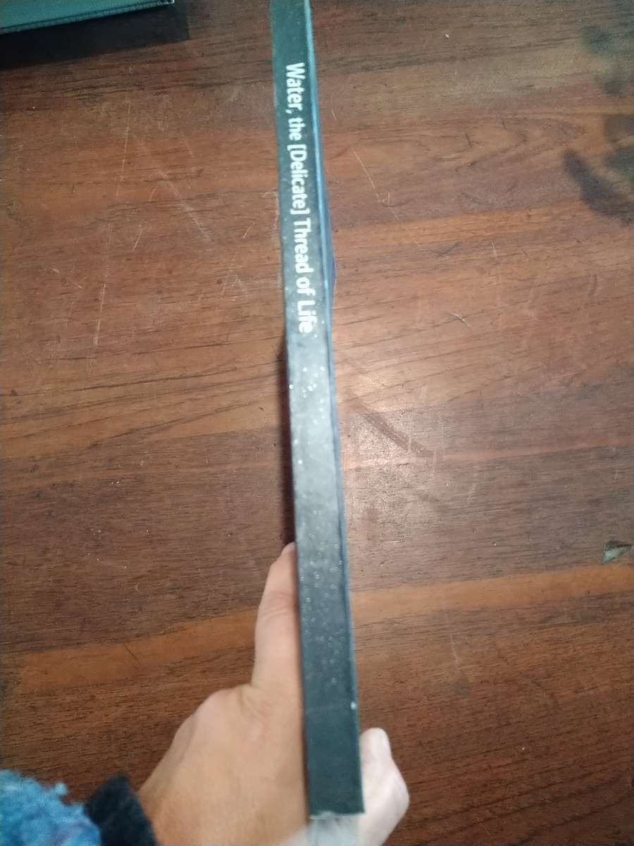 WATER, THE [DELICATE] THREAD OF LIFE -  Standard Bank Gallery Exhibition Catalogue