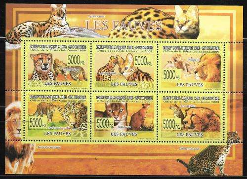 Guinea 2009 MNH Wild Cats / Lions um
