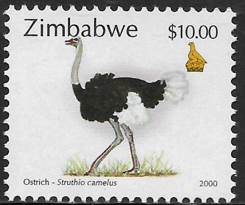 Zimbabwe 2000 MNH Ostrich / Bird um SG Cat R25