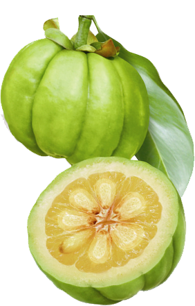 Garcinia cambogia - CNT LABS
