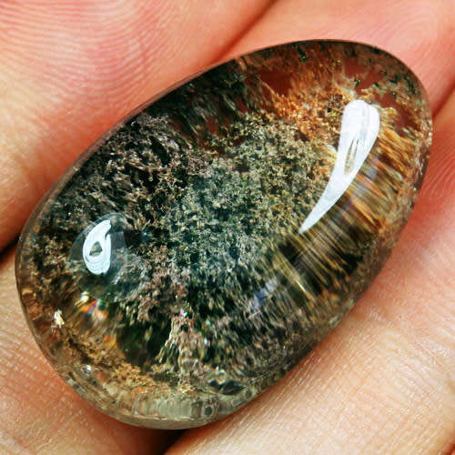 Dendritic Coral Garden Quartz   (37.0 Ct)