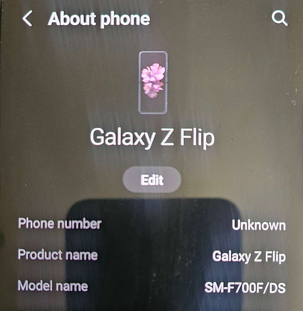 Samsung Galaxy Flip - See Pics for Description