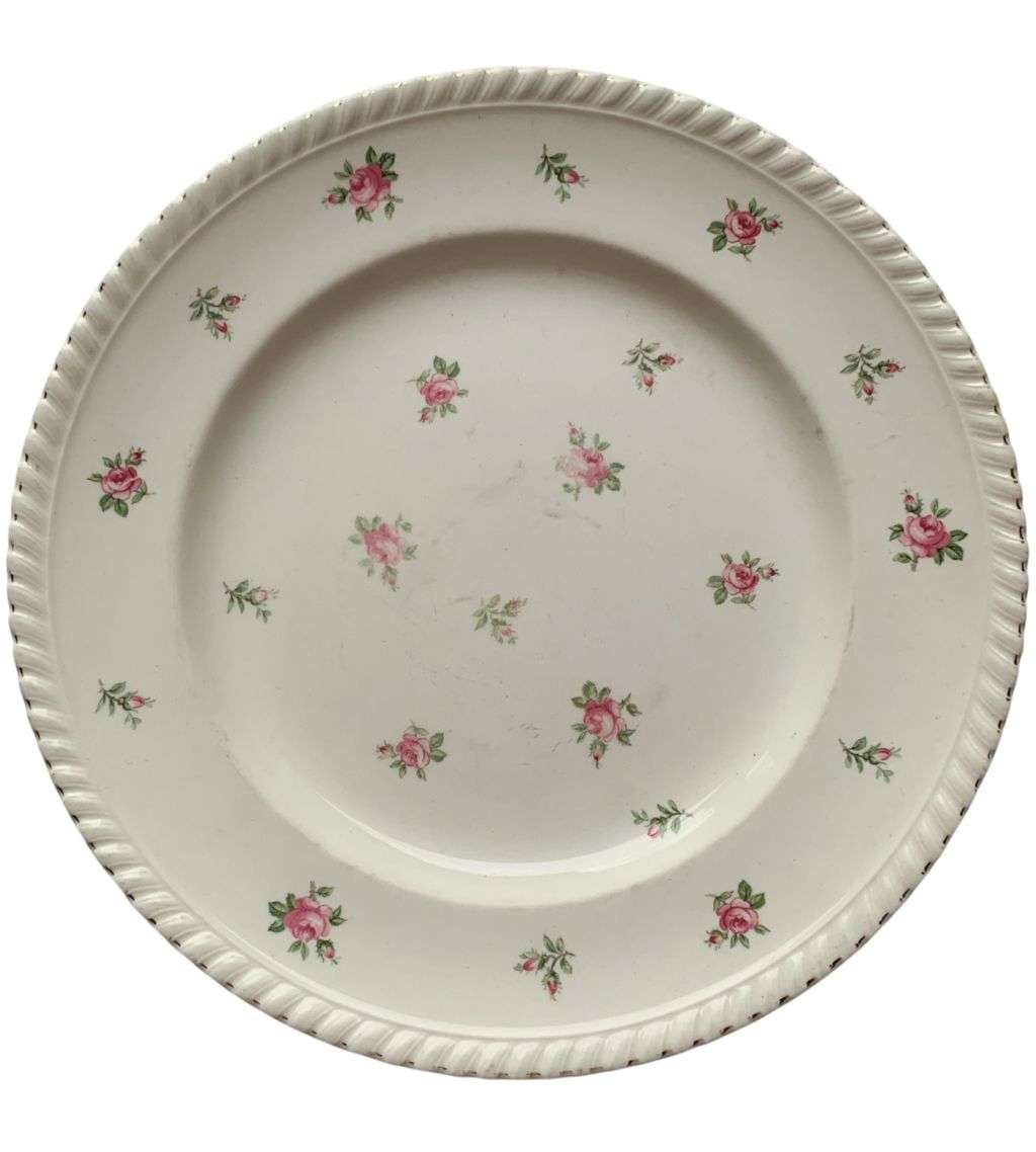 Vintage Cottage Core Collection: 15-Piece Rustic Antique Shabby Chic China Set with Plate Hangers