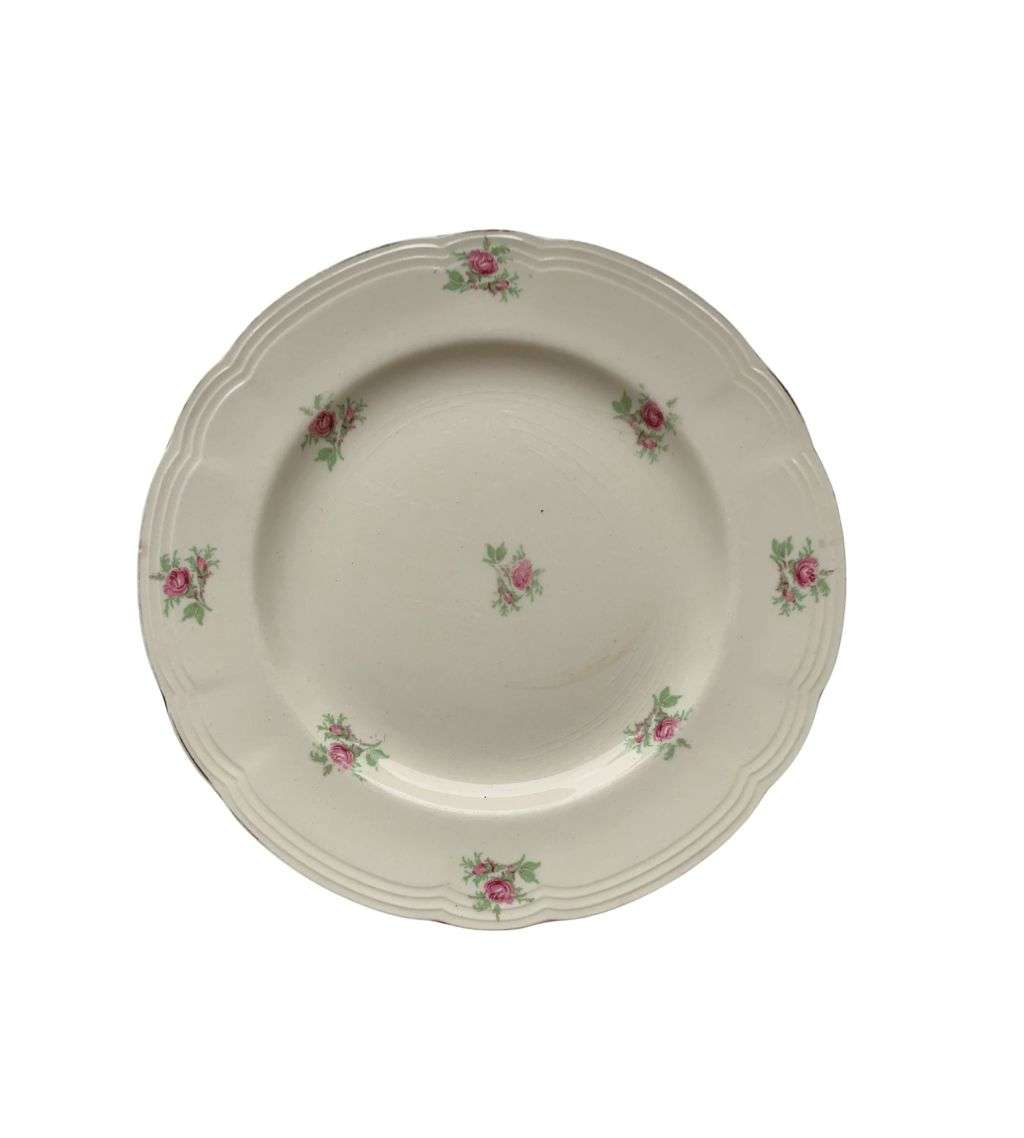 Vintage Cottage Core Collection: 15-Piece Rustic Antique Shabby Chic China Set with Plate Hangers