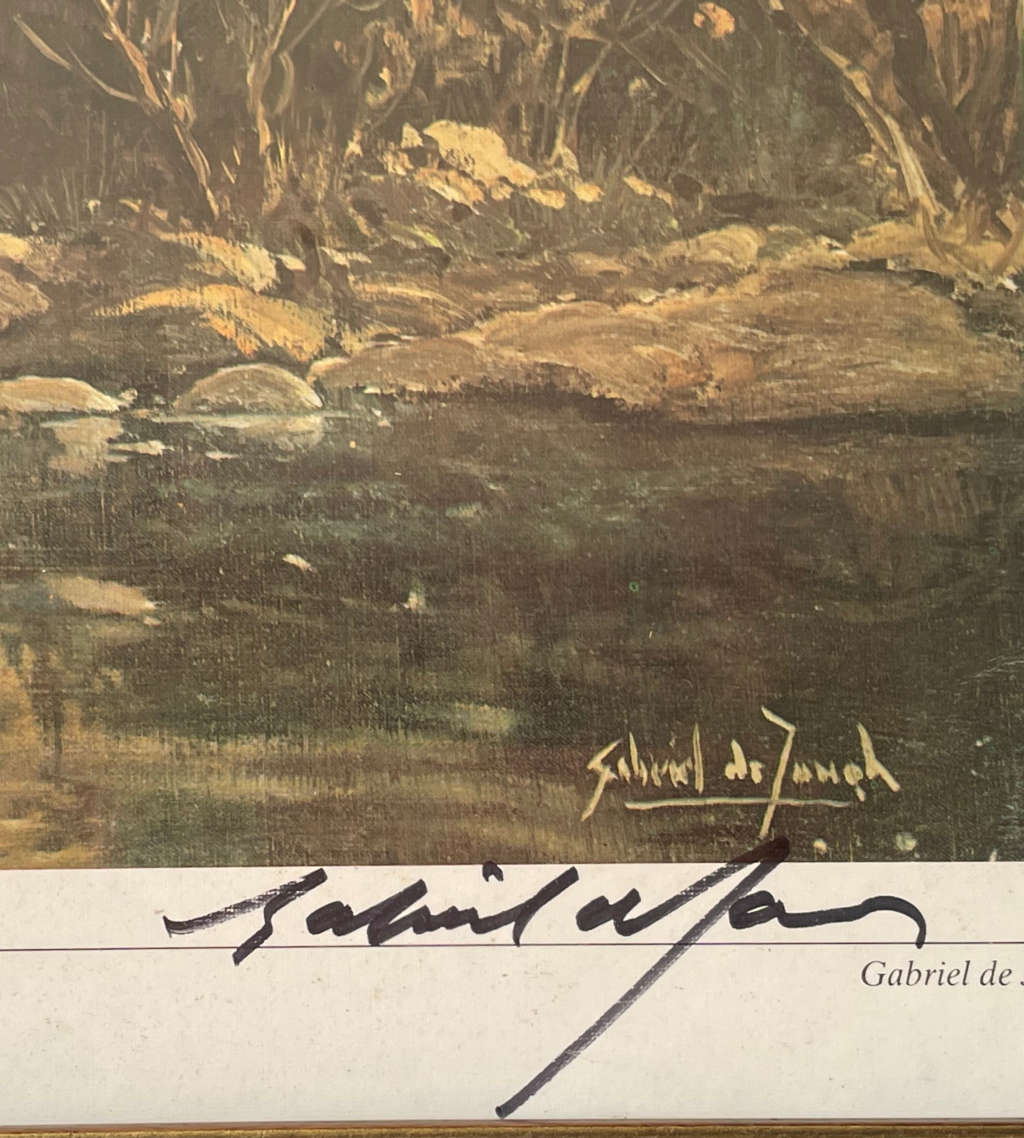 Reduced! Gabriel de Jongh Signed Print 'Kloof in the Swartberg' 39x54.5cm - Framed Behind Glass