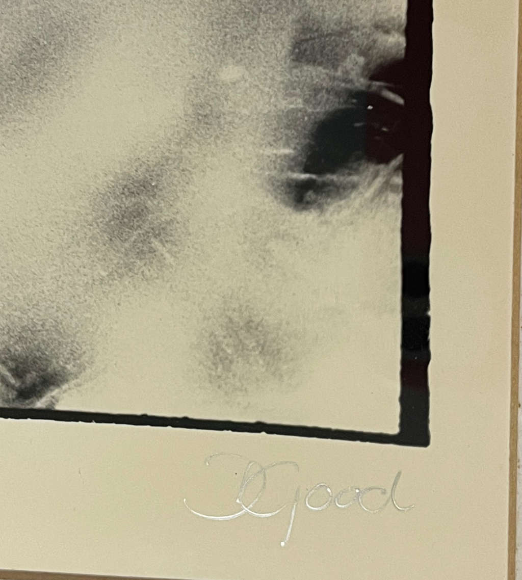 Signed Photograph "Big Cat Country: The Leopard of Singita Sabi Sand" by D. Good  Vintage, Framed