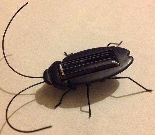 Solar Cockroach Educational Toy, Gag, Gadget