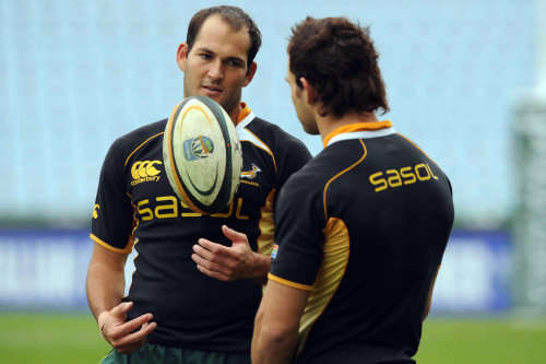 Springbok Player Training jersey _XL