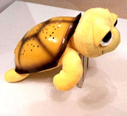 Musical Turtle Night Light