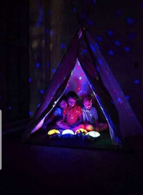 Musical Turtle Night Light