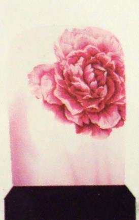 12 TOE NAIL DECALS / WRAPS - LATEST EUROPEAN NAIL CRAZE !!!