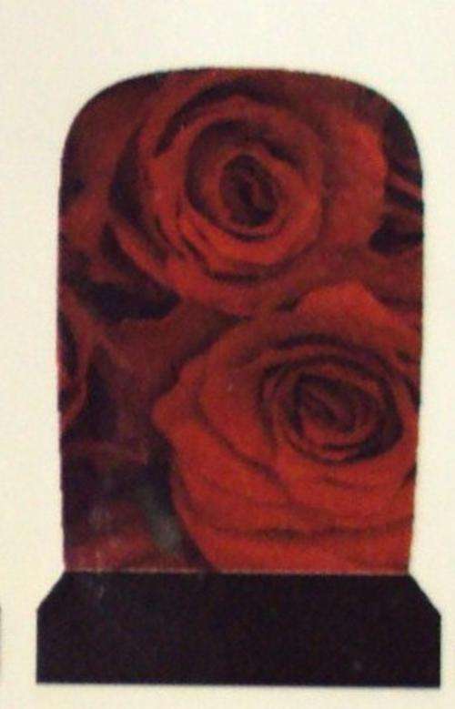 12 TOE NAIL DECALS / WRAPS - LATEST EUROPEAN NAIL CRAZE !!!