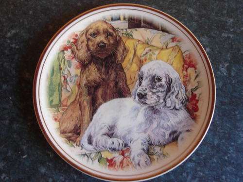 COLLECTORS PLATE
