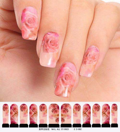 12 NAIL DECALS / WRAPS - LATEST EUROPEAN NAIL CRAZE !!!