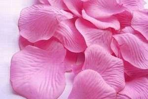 100 SILKY ROSE PETALS - TABLE CONFETTI