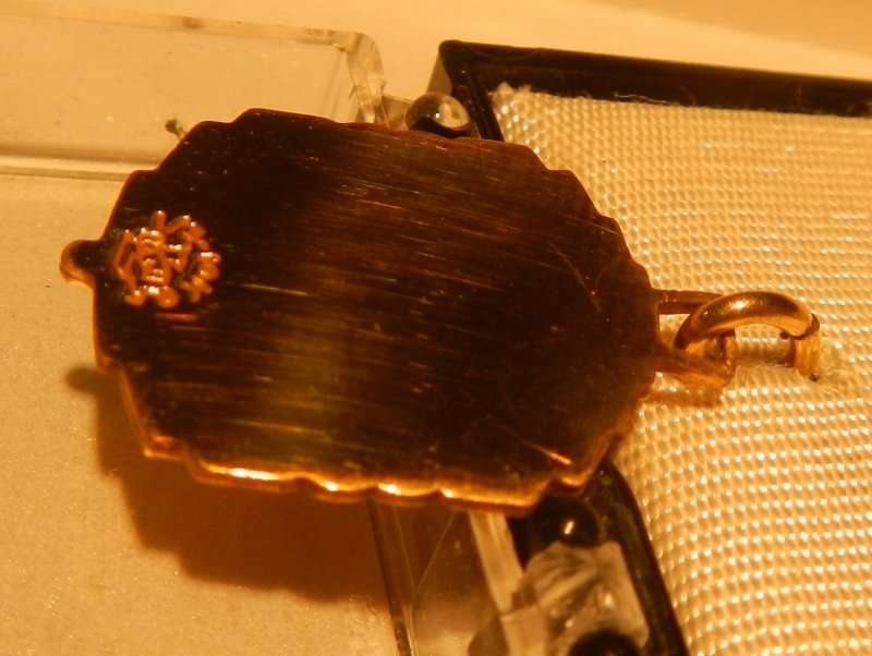 Lions Badges from the 60s and 70s