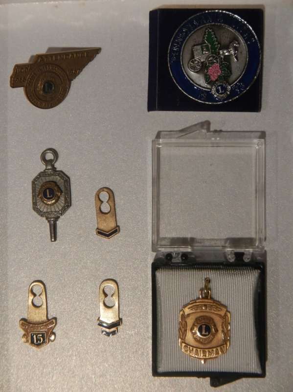 Lions Badges from the 60s and 70s