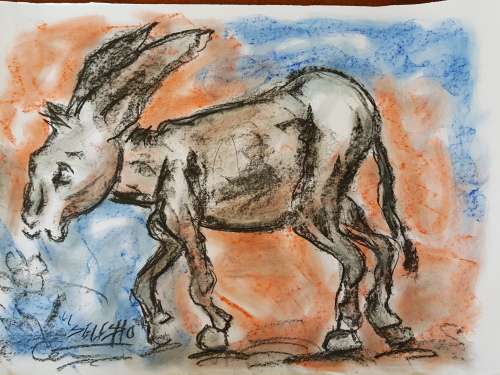 SELESHO  -X LARGE-APPROX.430MM X 610MM