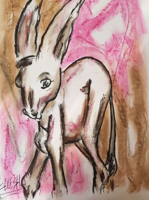 SELESHO  X LARGE-APPROX.430MM X 610MM