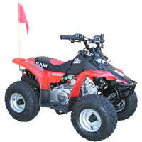 SAM 50cc Quad Bike