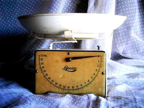 Scale - LYSSEX - 19.5 x 11.8 x 17.9 cm -