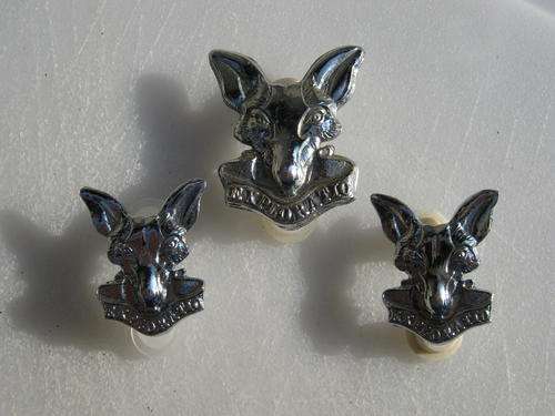 SOUTH AFRICAN INT CORP - CAP AND COLLAR BADGES