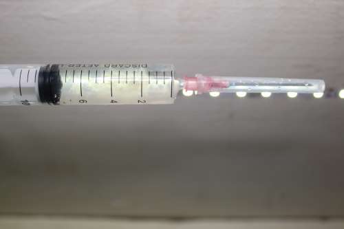 6 x Spore Syringes - Liquid Culture Psilocybin Cubensis Magic Mushroom [SPECIAL!!]