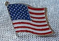 American Flag / Pin