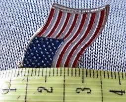 American Flag / Pin