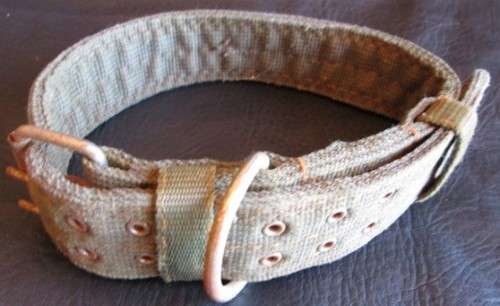 Belt