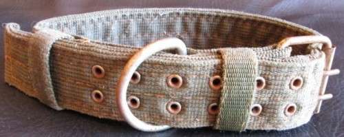 Belt