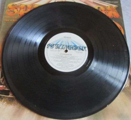 1980 SPRINGBOK 49 (MW 90000) VINYL LP RECORD - S208