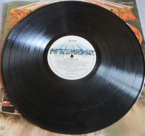1980 SPRINGBOK 49 (MW 90000) VINYL LP RECORD - S208