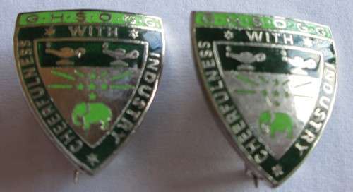 Cheerfulness with Industry Badges / Pins (x2 Lot)