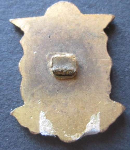 LEMAS LIOHV SCHOOL BUTTON HOLE BADGE (NO PIN)