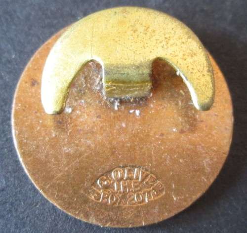 SOUTH AFRICAN ELECTRICAL WORKERS ASSOCIATION LAPEL PIN - A117