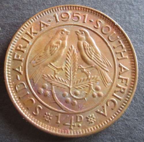 1/4 PENNY 1951 (FARTHING) UNION OF SOUTH AFRICA COIN - C1971