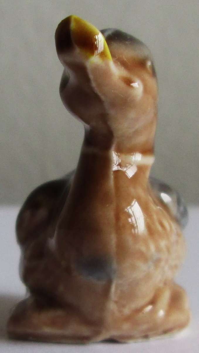 Duck Wade English Whimsies