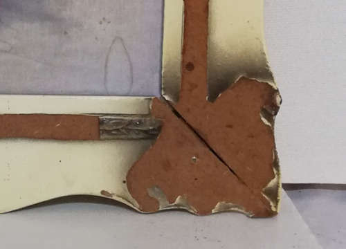 TRETCHIKOFF - Weeping Rose