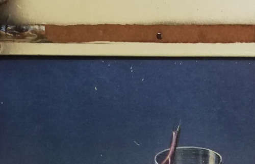 TRETCHIKOFF - Weeping Rose