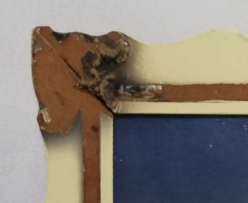 TRETCHIKOFF - Weeping Rose