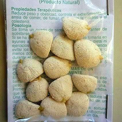 Bulk Buyer's & Resellers - NUEZ DE LA INDIA SLIMMING NUT!!! {12 Nuts per Packet}