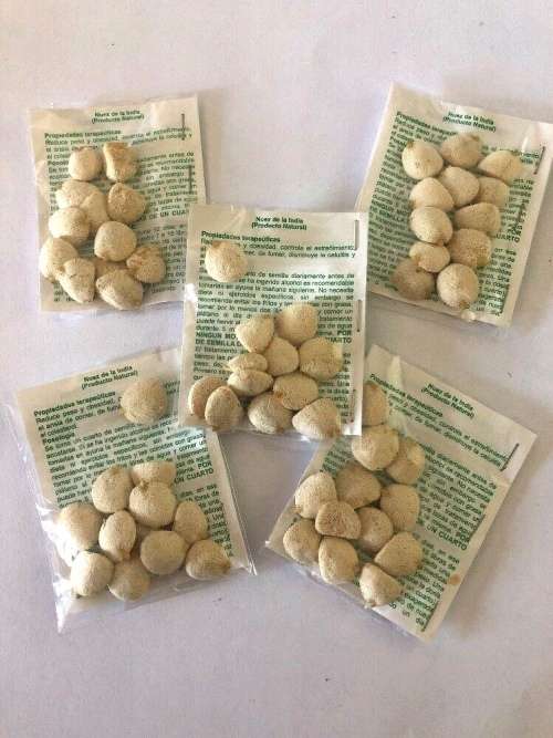 Bulk Buyer's & Resellers - NUEZ DE LA INDIA SLIMMING NUT!!! {12 Nuts per Packet}