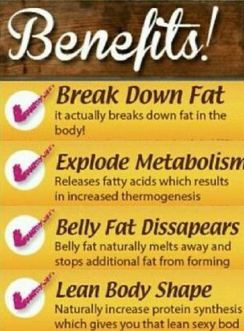 Bulk Buyer's & Resellers - NUEZ DE LA INDIA SLIMMING NUT!!! {12 Nuts per Packet}