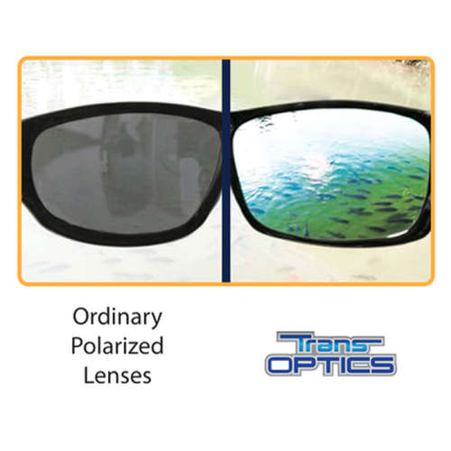 TRANS OPTIC SUNGLASSES