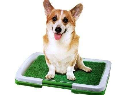 PUPPY POTTY PAD
