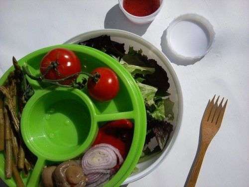 EZ FREEZE STAYFIT DELUXE SALAD KIT BRAND NEW