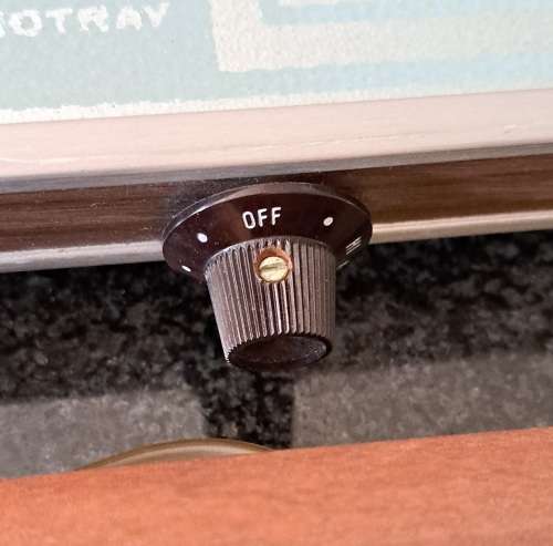 Salton Hot Tray Food Warmer (vintage)