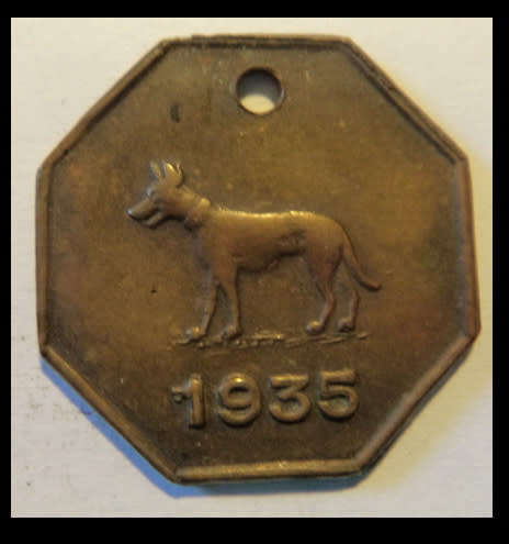 Crazy R1 Start! Somerset West Dog License for 1935 stamped 2